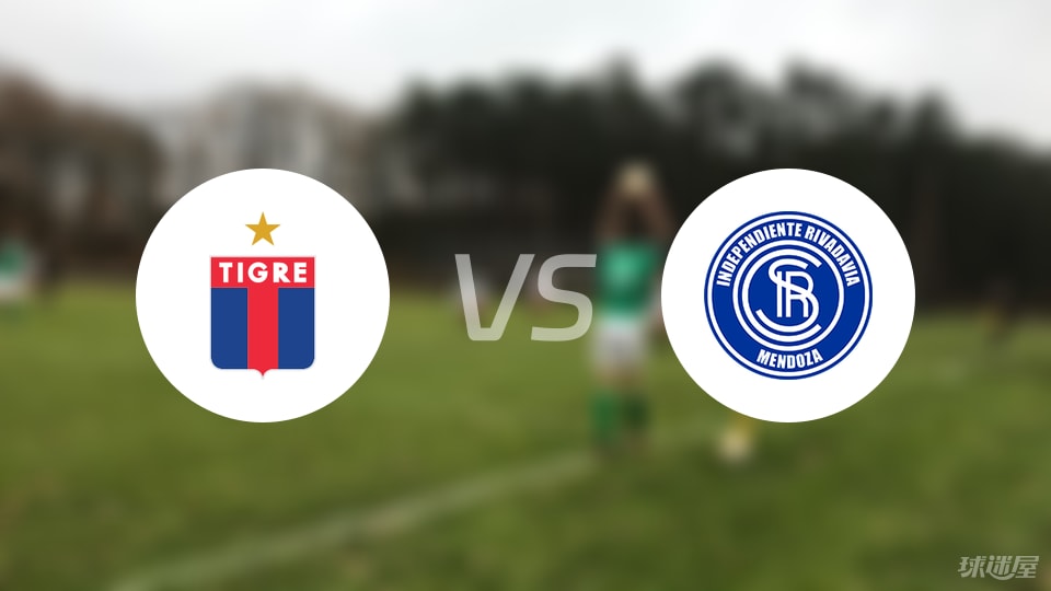 堤格雷vs门多萨独立首发
